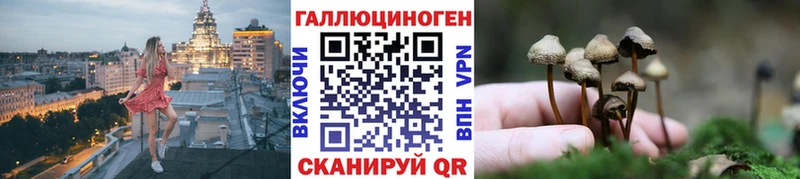 ссылка на мегу ONION  Звенигово  Галлюциногенные грибы ЛСД 